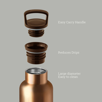 Bronze Gold-Cloudy Grey 20 Oz, HYDY - Water bottles, 18/8 (304) Stainless Steel, BPA Free, Reusable